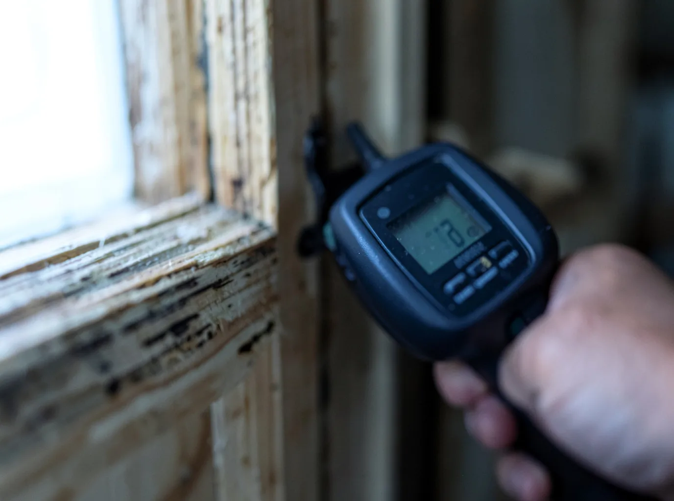 Moisture Inspection And Documentation in Adams, ND